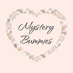 Mystery Bummies 2 pack